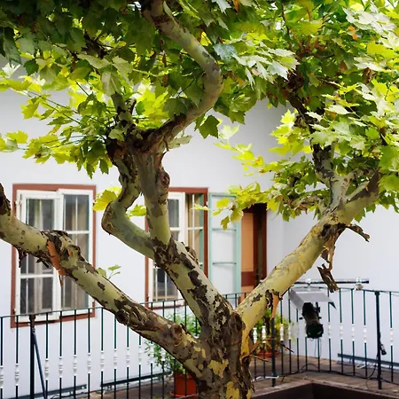 Pumpe Apartment
